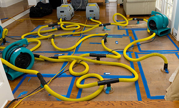 Professional Structural Drying And Dehumidification technician working in Hubbardston, MI