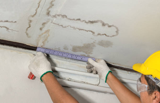 Affordable Water Damage Repair solutions in Hubbardston, MI